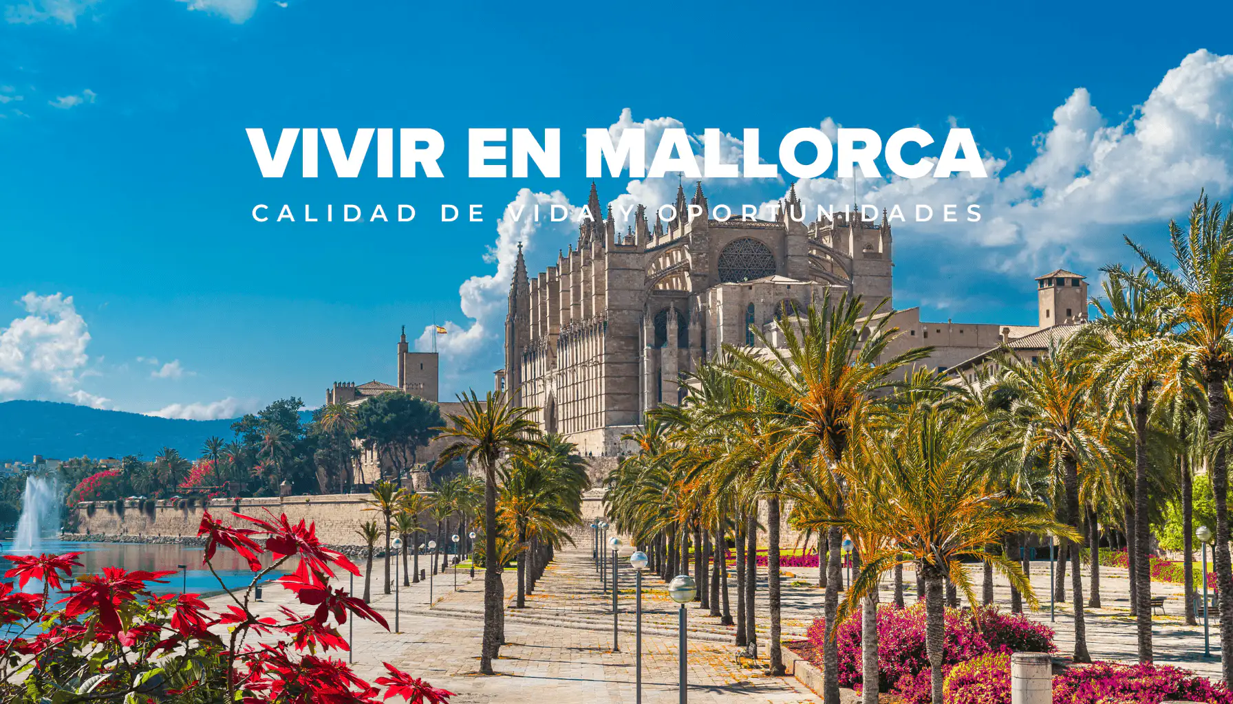 Vista panorámica de Palma en Mallorca con mar, naturaleza y calidad de vida